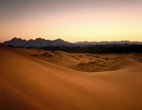 Landscape / Richard AP