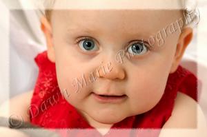 copyright Dawn Marie Photography