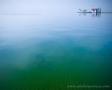 Float plane
