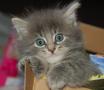 What a cutie!!!