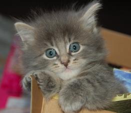 What a cutie!!!